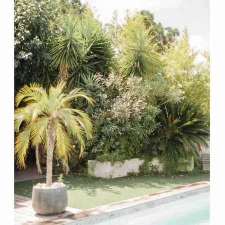 Near Sea, Heated Pool,isolella,corsica Apartment *