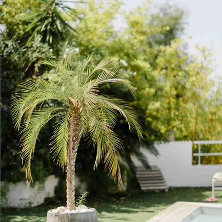 アパート Near Sea, Heated Pool,isolella,corsica *